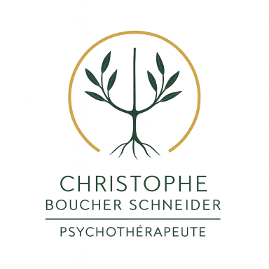 Christophe Boucher Schneider, Psychothérapeute
